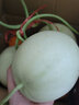 探味君 玉菇甜瓜 当季绿肉瓜香瓜冰淇淋脆甜密瓜 新鲜水果 净重8.5-8.99斤 【精品装】商超品质 晒单实拍图