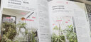 绿植格调：250种清新植物挑选·装饰·养护 实拍图
