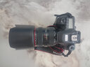 佳能 Canon 60d 90d 77d 70d 7d2 80d二手单反相机APS半画幅 数码相机 佳能80D【80d机身】 99新 实拍图