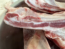 生鲜羊肉羊排/羊小腿煎烤/烧烤食材 鲜切速冻手把羊肉 精选羊排1斤（切条发货） 实拍图