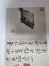 八大山人册页精选：花果册 花卉册 实拍图