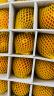 洛川苹果 青怡陕西红富士7.5斤臻品礼盒装单果210g以上生鲜新鲜水果 晒单实拍图