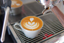 惠家（WPM） 咖啡机磨豆机组合搭配 家用商家半自动咖啡机 意式咖啡豆研磨机 KD310WD+ZD17N 晒单实拍图