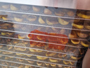 志高（CHIGO） 食品烘干机干果机水果风干机脱水机商用 宠物零食药材肉干蔬菜类风干机果干机家用 12层玻璃门款 实拍图