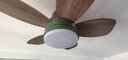 璞艺全光谱护眼儿童房风扇灯直叶扇2025新款吊扇灯卧室灯风扇一体吊灯 抹茶绿+木纹叶32寸+变频遥控 实拍图