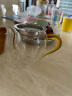 拜杰小龙胆公道杯 耐热玻璃公道杯玻璃分茶器茶海茶具配件茶杯250ML 晒单实拍图