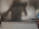 联想（Lenovo）拯救者R7000 P图设计电竞游戏笔记本电脑满血满功耗独立显卡游戏高刷屏 定制R7-8745H//32G/1TB 4050 144Hz高刷 100%sRGB 实拍图