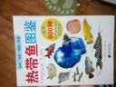 热带鱼图鉴 实拍图