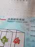 森森鱼缸隔离板透明挡板水族箱非亚克力隔板可随意裁剪不弯曲不变形 实拍图