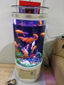 欧庭（OUTING）欧式半圆中型玻璃鱼缸水族箱形落地靠墙吧台客厅生态 欧式款 长+3CM 0.6米长 实拍图