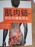 肌肉链：脊柱的螺旋稳定 实拍图