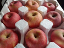 山丘二十里【果园直发】甜脆多汁山东烟台栖霞红富士苹果新鲜水果不打蜡 4斤甜脆多汁小果 实拍图