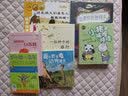 【赠海量电子书】妹妹的红雨鞋 百年百部中国儿童文学经典书系 精选注音书 小学生一二年级课外阅读书籍 儿童读物 实拍图