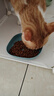 伯纳天纯通用全价猫粮冻干粮三种鱼成猫幼猫全阶段深海御鲜 【升级款】鱼肉口味 2kg 实拍图