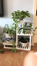 华观家居（Home Giving Furniture）多层实木花架阳台置物架室内花架子客厅落地式多肉绿萝花盆植物架 A款白色 实拍图