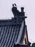 纽盾丁基胶防水胶带房屋顶防水补漏材料管道裂缝堵漏自粘卷材10CM*8M 实拍图