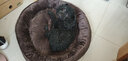 宠哆哆狗窝猫窝中型犬小型犬比熊柯基狗床泰迪哈士奇宠物用品狗垫子 咖啡色不可拆 M（30斤内）【加厚加棉】 实拍图