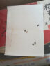 达豪 苍蝇贴粘蝇纸灭蝇神器捕蝇驱蝇器粘虫板 20张装 实拍图