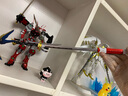 万代（BANDAI） PG 高达 拼装模型玩具 30cm PG 红异端改 实拍图