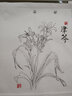 白描花卉写生集 实拍图