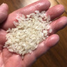板桥米谷店日本进口 日本北海道瀛七星大米  日本大米 日本寿司米 单袋装2kg 实拍图