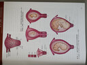 产科手术学（原书第4版） 实拍图