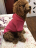 阿莫尔宠物小狗狗衣服秋冬装加绒加厚保暖泰迪比熊小型犬四脚衣猫咪衣服 灰色毛熊（四脚） L-建议7-9斤内 实拍图