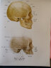 LWW解剖学精要图谱：胸部、腹部和盆部 实拍图