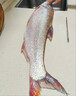 达亿瓦（DAIWA）23新款LBT C 矶 CS Q 手海两用竿远投滑漂矶竿斜导环矶钓竿 2-45（2号-4.5米） 实拍图