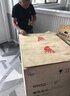 天地人渡边富士龙商用切片机全自动切牛羊肉片机50型台式立式刨肉机进口刀片送货上门220v380V天地人 富士龙50型380V 晒单实拍图