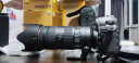 尼康（Nikon） D850单反相机单机身专业级全画幅单反相机高清数码摄影照相机 晒单实拍图
