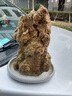 吸水石 盆 底座上水石底盘椭圆形盆景假山微景观绿植多肉花盆 裂纹椭圆2号盆24*16*4 实拍图