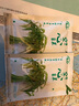 寿禾 台湾竹叶空心菜种子通心菜雍菜柳叶四季春寿光蔬菜籽 齐松2号空心菜种子50g 实拍图