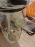 乐唯诗（NERVISHI） 玻璃杯吸管杯可爱少女网红奶茶杯女杯子带盖早餐杯牛奶杯咖啡杯 乐美吸管杯【琥珀】带把 530ml 1只 实拍图