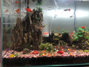 金晶超白玻璃鱼缸定制长方形裸缸客厅造景草缸乌龟 60*30*36 6mm德邦上楼 实拍图