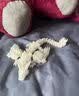 带翅膀的夜光龙3d打印炫酷渐变水晶龙桌面摆件关节可动吸收紫外线 带翅膀夜光龙【23cm】+紫光电筒 实拍图