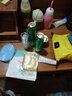 栢草源（BOTRE）专柜同款 螺旋藻蛋白护肤品套装补水保湿修护敏感肌植物孕妇可用 乳+面霜 实拍图