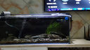 森森（SUNSUN）鱼缸冲浪泵水族箱造浪泵横流造流泵 JVP-200A 6w适合0.8米到1米的鱼缸 实拍图