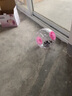 宠尚天 仓鼠跑轮球龙猫大号转轮带支架松鼠仓鼠金丝熊用品玩具 水晶跑球 粉红20cm 实拍图