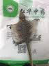 蛤蚧一对带头足（2只）蛤蚧精制中药材 gejie进口哈蚧补肺益肾纳气定喘助阳益精 泡酒中药材店铺 一对/两只（中号肩宽约13-14cm） 实拍图