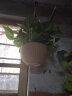 叹为观止 竹编吊篮花盆塑料树脂圆形悬挂式花盆创意绿萝吊兰花盆 米白色 (带定植篮款) 中 实拍图