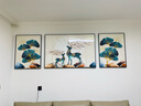 Sixpoetry 客厅装饰画现代简约沙发背景墙壁画轻奢三联晶瓷画大气高档挂画 福禄金树（铝合金外框） 镶钻画左右60*80+中间120*80亮面 实拍图