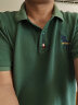 罗蒙短袖t恤男士冰丝纯棉宽松POLO翻领衫商务休闲中年爸爸装刺绣上衣 绿色[纯棉] XL（推荐135-150斤） 实拍图