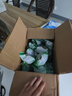 戚小贝40个野生罗汉果中级广西桂林永福特产大果散装泡茶花茶干果仁茶 特大果20个 实拍图