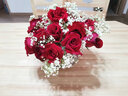 艾斯维娜鲜花速递满天星玫瑰花束送女友生日礼物全国同城配送 19朵红玫瑰花束 实拍图