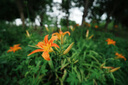 唯卓仕唯卓仕16mm F1.8索尼口尼康口全画幅自动对焦镜头适用于FE卡口Z卡口微单相机超广角定焦星空镜头 AF 16/1.8 FE 标配 实拍图
