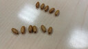 狮子头橄榄核米珠核雕橄榄胡项链手串素核雕配饰配件108节节高长串珠礼物新年礼物 虎年 橄榄核6*3小米珠108颗 晒单实拍图