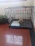 蔻丝狗笼子小型犬中型犬室内家用带厕所分离折叠免安装狗笼子柯基柴犬 黑折叠铁丝款【85*60*70】35斤内 实拍图