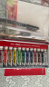 荷尔拜因（holbein）水彩套装管状透明水彩单支绘画颜料美术生写生进口水彩颜料 12色/5ml+5件工具 单 实拍图