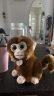 雅德森 可爱猴子公仔毛绒玩具猩猩玩偶 金丝猴年吉祥物 礼品早教模型 棕色 20cm 晒单实拍图